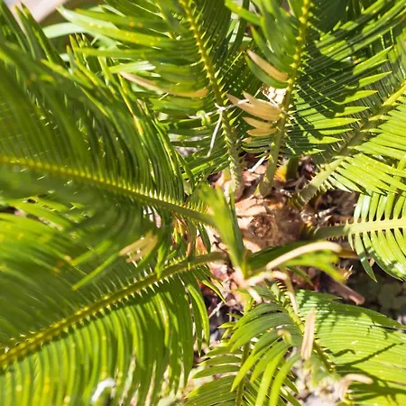 فندق مبيت وإفطار And So 3*