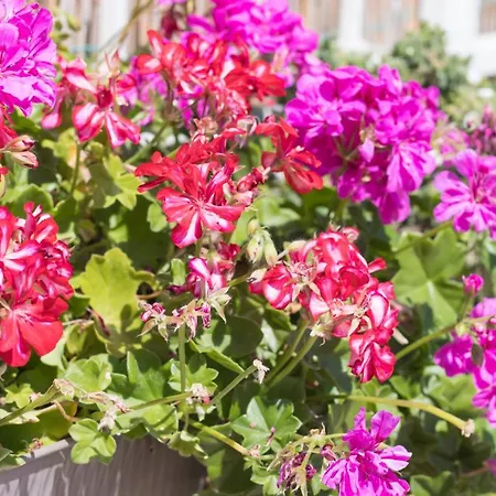 فندق مبيت وإفطار And So 3*