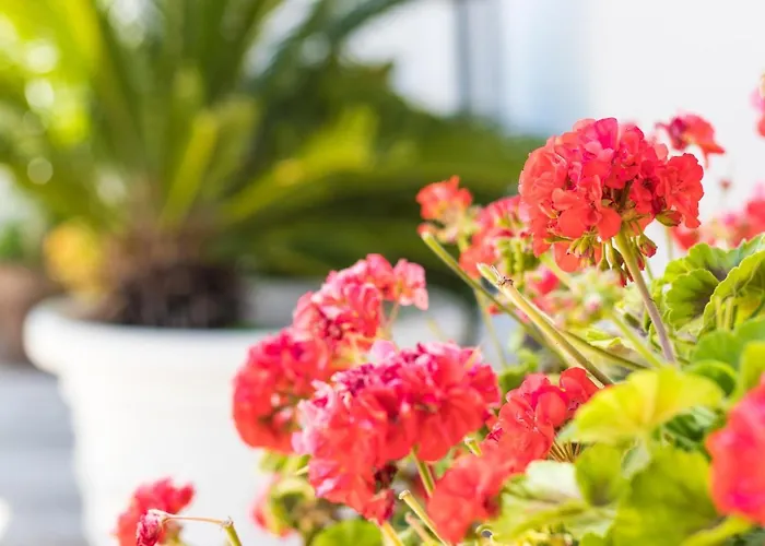 アンド ソー 3* レッチェ